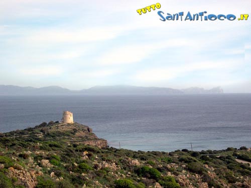 torre turri