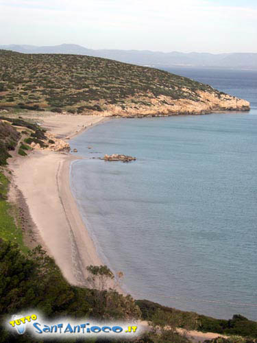 coaquaddus5